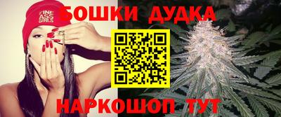 spice Севастополь