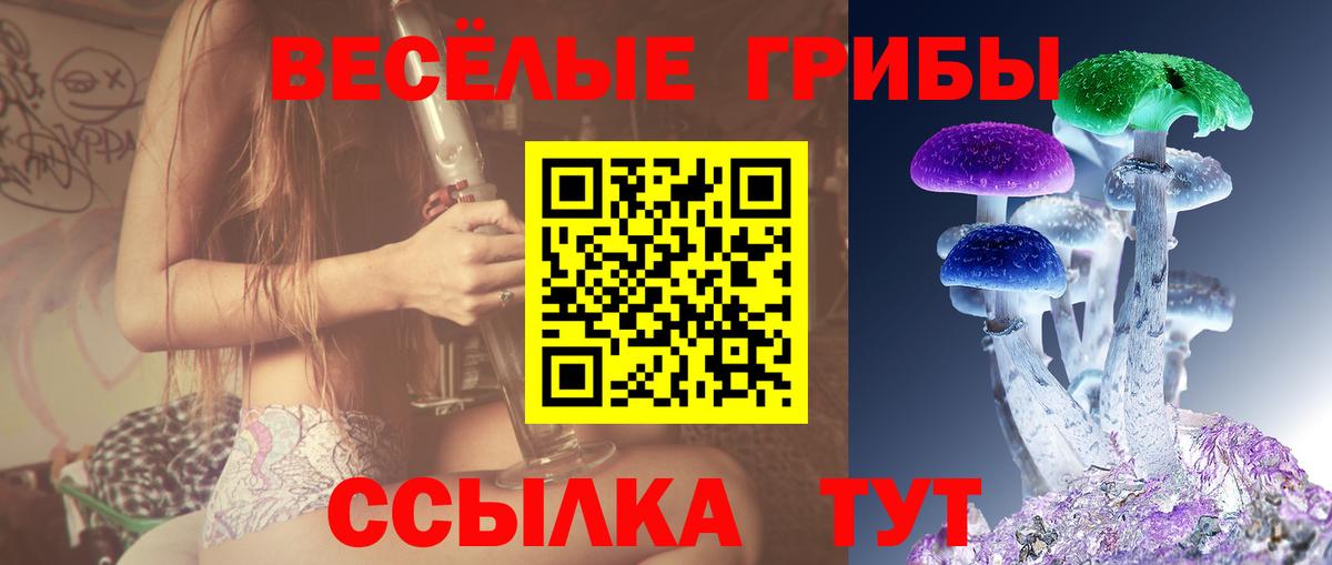 Галлюциногенные грибы прущие грибы Саров