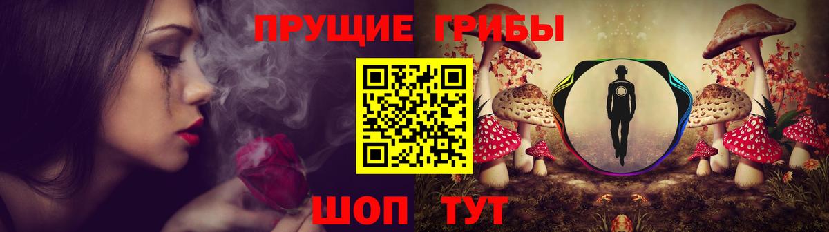 Саров  цена наркотик  Вход с VPN  Псилоцибиновые грибы мухоморы  Псилоцибиновые грибы прущие грибы 